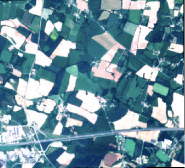 Large-scale Crop Type Mapping with Deep Time Series Classifiers
